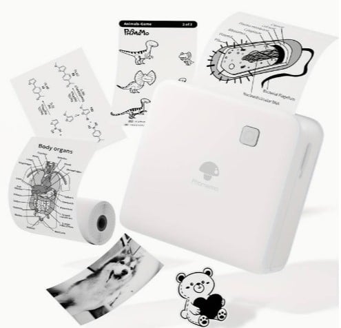 Mini Fotoprinter zwartWit Labelprinter Labelmaker Wit Phomemo M02PRO 300DPI incl software / st 