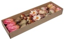 Protea de luxe Exotic assortiment Naturel doos 30 stuks
