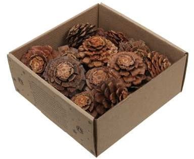 Dennenappel Flower cut Naturel doosje 23 stuks