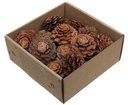 Dennenappel Flower cut Naturel doosje 23 stuks