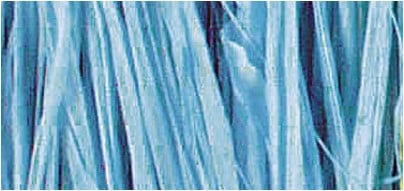 Raffia Natuurraffia Lichtblauw 25 gram