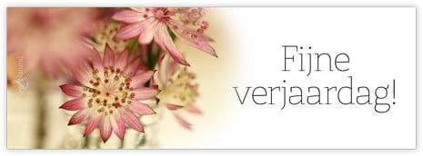 Bloemenkaartje Fijne verjaardag ! kaartje voor bloemstukken en boeketten