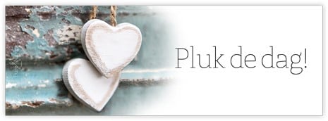 Bloemenkaartje Pluk de dag! kaartje voor bloemstukken en boeketten