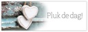 Bloemenkaartje Pluk de dag! kaartje voor bloemstukken en boeketten