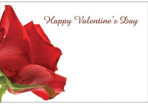 Bloemenkaartjes Happy Valentine's Day RODE ROOS pakje 50 Wenskaarten