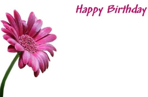 Bloemenkaartjes 50 HAPPY BIRTHDAY - GERBERA Pink Wenskaarten