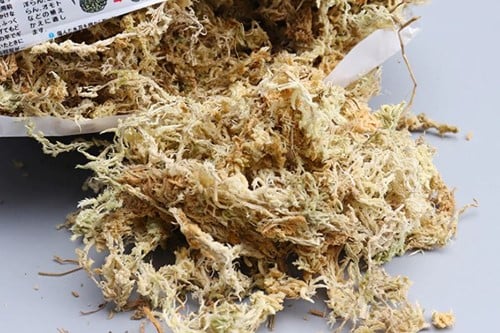 Veenmos Spaghnum 12L Gedroogd Sphagnum voor hydrocultuur, bloemschikken en stekjes opkweken