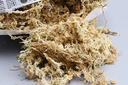 Veenmos Spaghnum 6L Gedroogd Sphagnum voor hydrocultuur, bloemschikken en stekjes opkweken