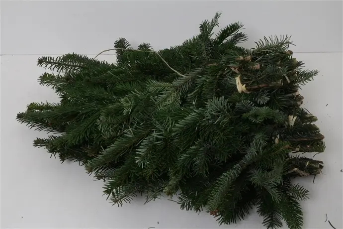 Nordman handbos bos vers ca. 50cm ca. 500 gr Lekker veel KerstGroen vers