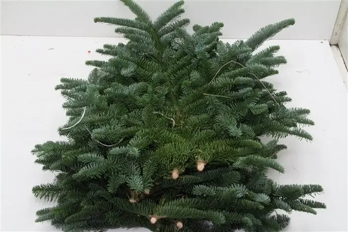 Nobilis PAK 5 kilo vers KerstGroen vers