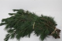Kiefer lang dennen groen ca. 450 gr