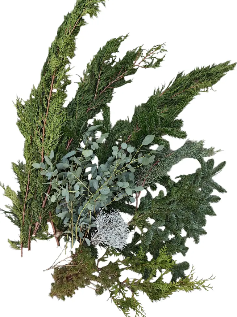Kerstgroen gemengd Heel mooi en geurend groen /pak