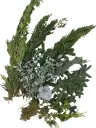 Kerstgroen gemengd Heel mooi en geurend groen /pak