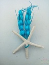 MaatwerkCorsage Zeester Aqua Gerst+magneet Maatwerk corsage