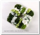 Tabledeco Oasis® Quadro 27x27 cm oase voor verse bloemen 
