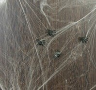 Spinnenweb Wit met spinnen 20 gram