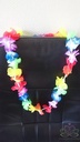 Hawaislinger Low Budget Kinderfeestje