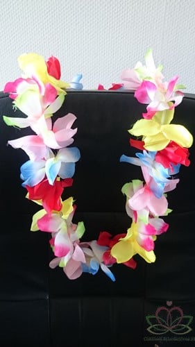 Hawaislinger Six colors