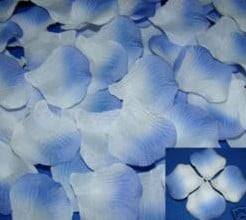 Blad Zijden blaadjes rozenblaadjes Licht lila blauw Wit