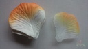Blad Zijden blaadjes rozenblaadjes Oranje Wit 2 kleur per pakje