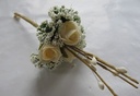 Corsage Miniroos New Style Pick Peach 