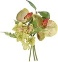 Orchidee Hortensia Bundel Groen 20 cm per bundel