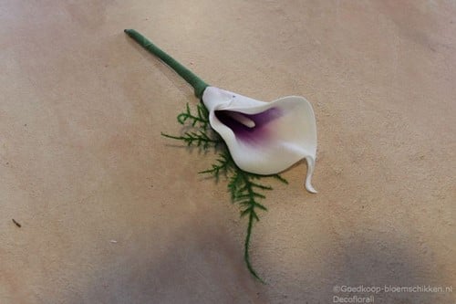 Corsage Maatwerk Calla Wit en Paars + Asparagus José 