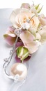 Pearl Stick met Diamantband 6 Pak