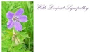 Condoleancekaart Wit Deepest Sympathy