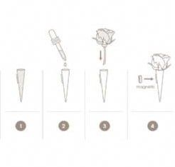 Corsagehouder Boutonnière Flowerdarte Wit doos 10 stuks
