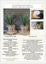 DIY Werkbeschrijving Schorspot met bladplant 