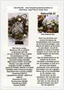 DIY Werkbeschrijving Natuurlijk Ei Krans 