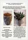 DIY Werkbeschrijving Pot Botanical Zijden 
