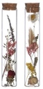 Reageerbuisjes glas met kurk 15 cm Ø3 cm doos 6 stuks