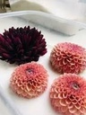 Silicagel prepareerzout voor het drogen van bloemen 3-5 mm 350 g
