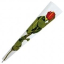 Hoes enkele bloem Transparant 45x12x3 cm pak 50 35 micron