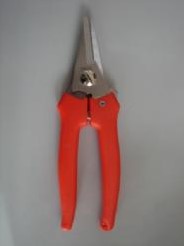 Bloemenschaar middel met lock 15 cm oranje