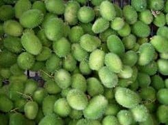 Cucumis Dipsaceus sierkomkommertjes 100 zaden