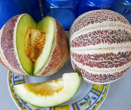 Kajari Suikermeloen Geurmeloen zaden