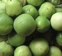 Solanum Thai Groen Pea zaden van decovruchtjes