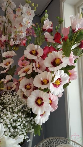 Stokroos Wit Paars Zijdenbloem 100 cm per stuk