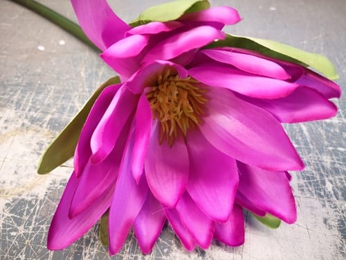 Real Touch Waterlelie Purple per stuk