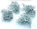 Corsage pick Stephanotus Wit bundel 6 stuks