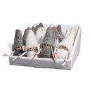Vilt Engel engeltjes 7 cm set van 2 stuks