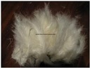 Veren Fluffy Echte veertjes Wit 15 stuks