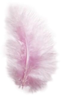 Veren Echte veertjes Roze 8 cm 10 stuks
