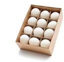Ganzeneieren XL 8 cm leeggeblazen voor decoratie doos 12 stuks
