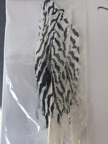 Hoenderveren lang spikkelveren 20-22 cm 4 stuks