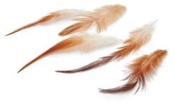 Hanenveren rooster feathers 10-15 cm 50 stuks