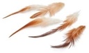 Hanenveren rooster feathers 10-15 cm 50 stuks